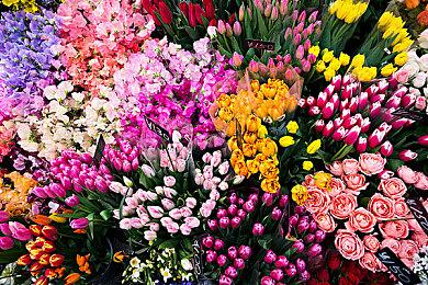 Xbox第一方游戏《午夜之南》30分钟视频 新画面曝光