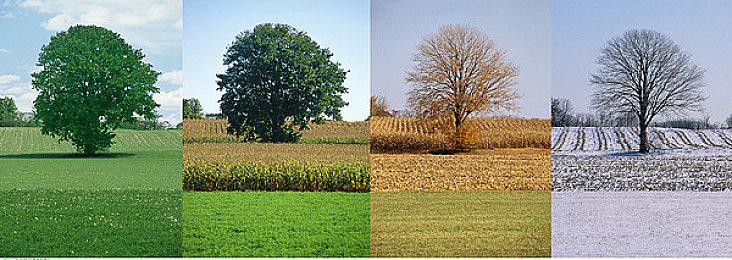 Epic Games与CDPR深入合作 解决虚幻5引擎卡顿问题